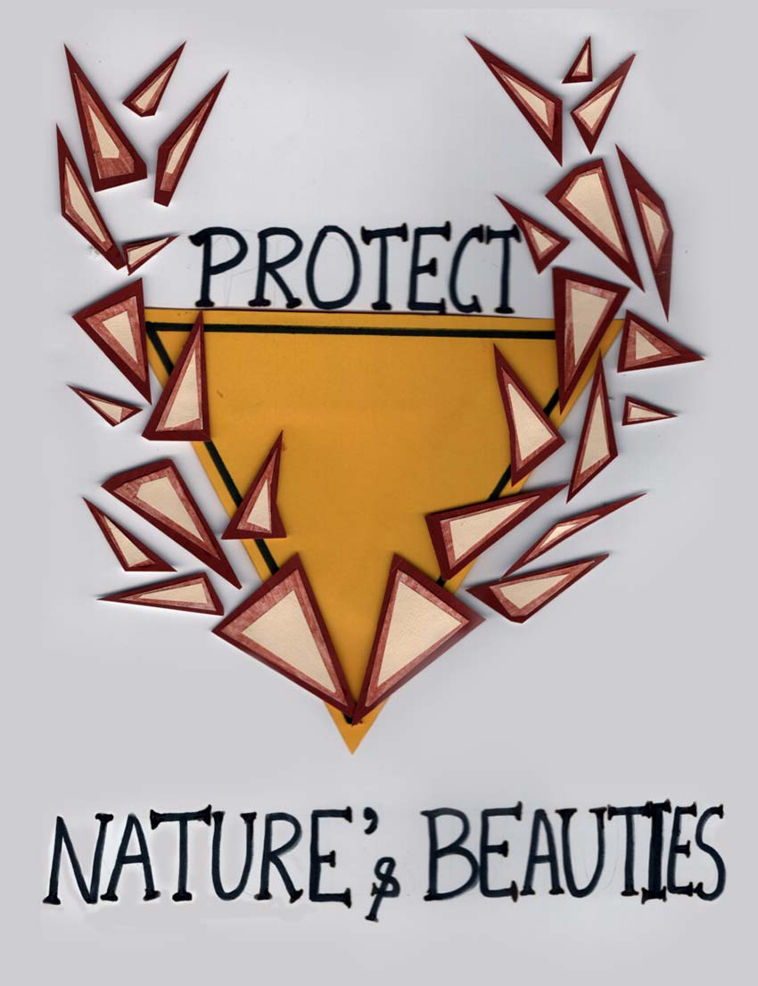 Shape Activity 4: Nature's Beauties
