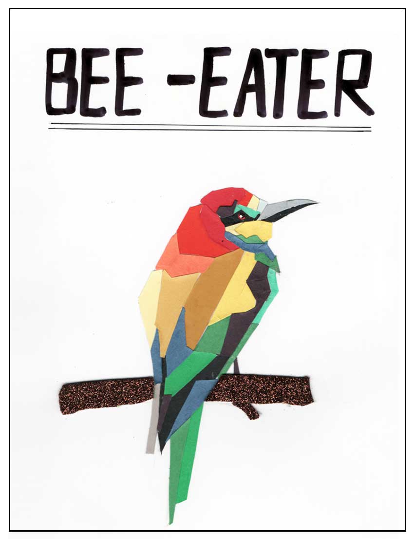 Shape Activity 1: Bee - Eater