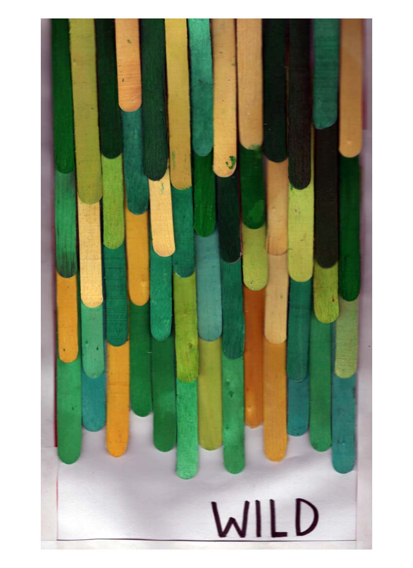 Shape Activity 2: Conceptual Background