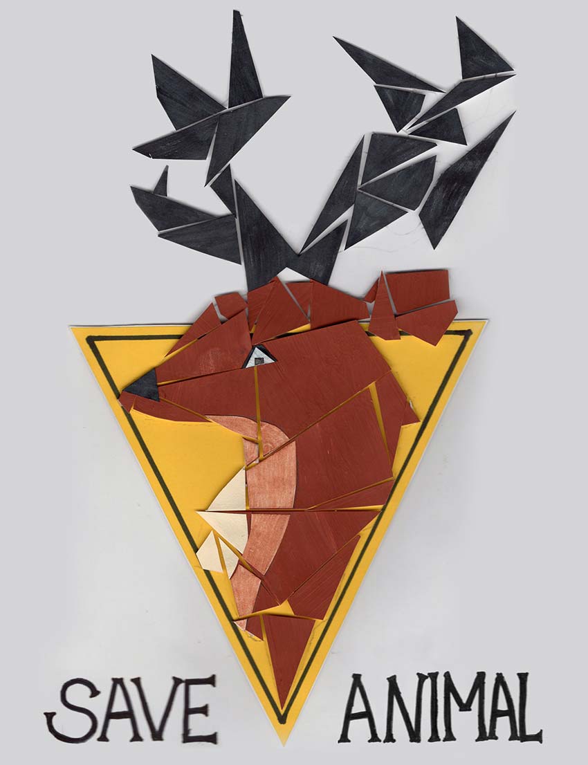 Shape Activity 2: Save Animal