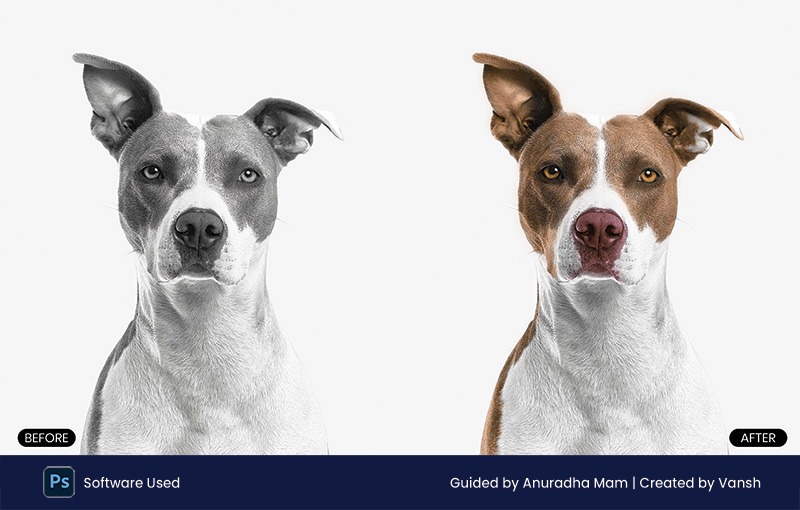 Black & white to colored in Photoshop