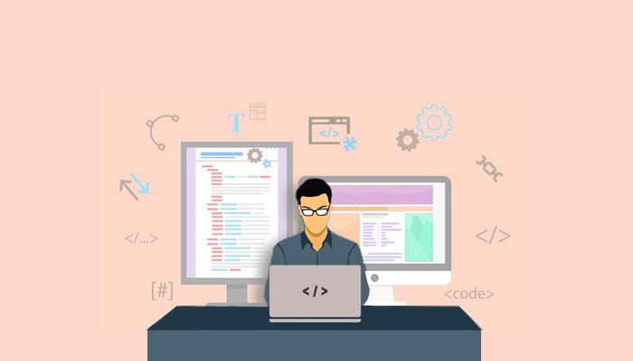 career options in web design and development