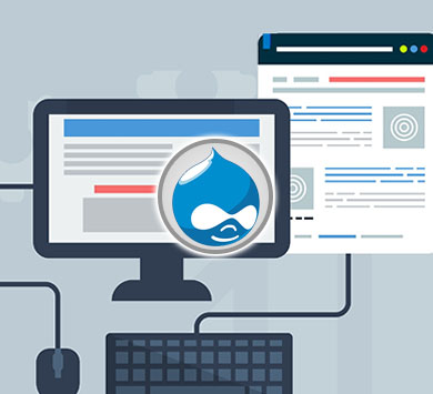 Drupal Standard Course