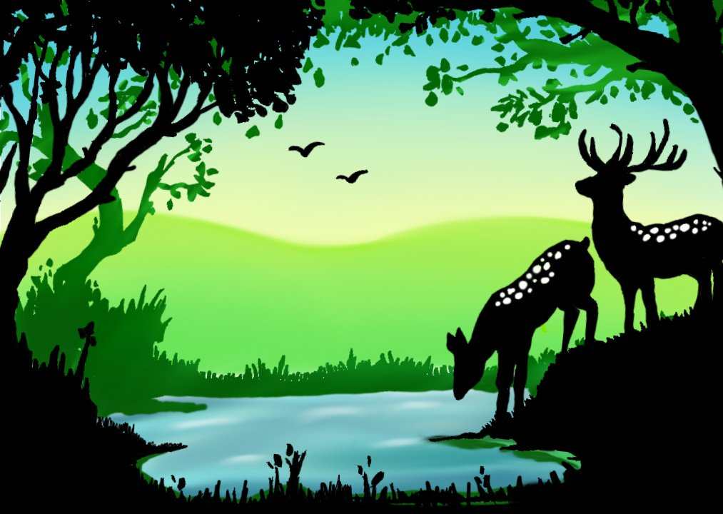 forest digital painting in sketcbook