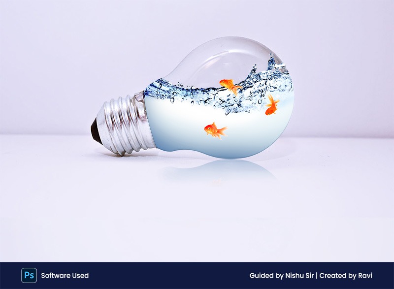 Fish in the water Bulb compositing