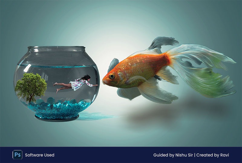 Fish in the air manipulation in Photoshop