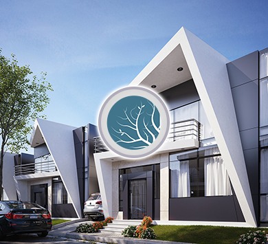 Lumion Master: Beginner to Pro