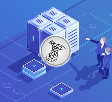 Microsoft SQL Server Standard