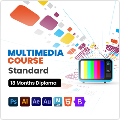 Short-term Multimedia Course