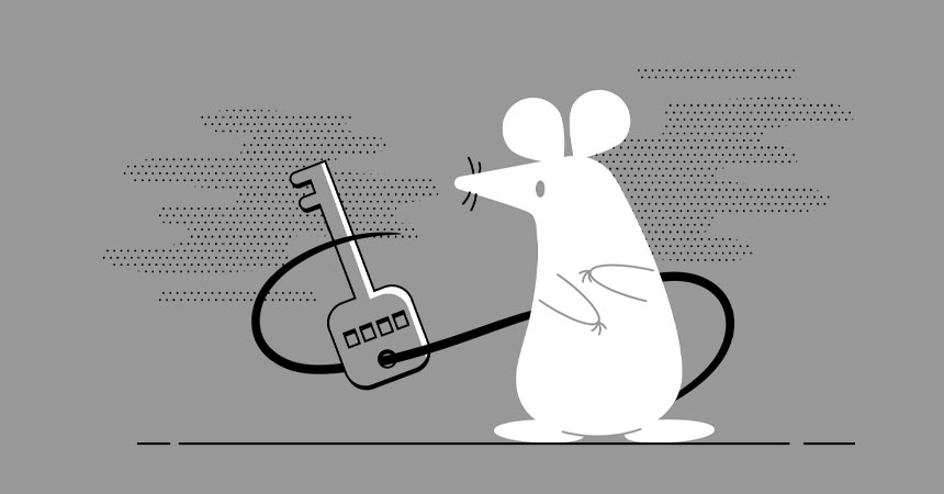 Practical SEO Tips: Long tail keywords