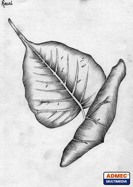 ravi sketching outdoor