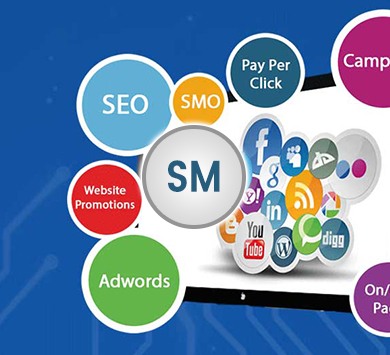 SEO Training Institute in Delhi