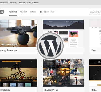 WordPress Training Institute in Delhi